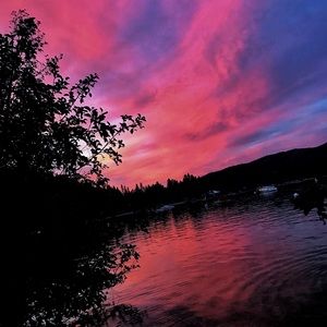 Meet your Posher, Tanner